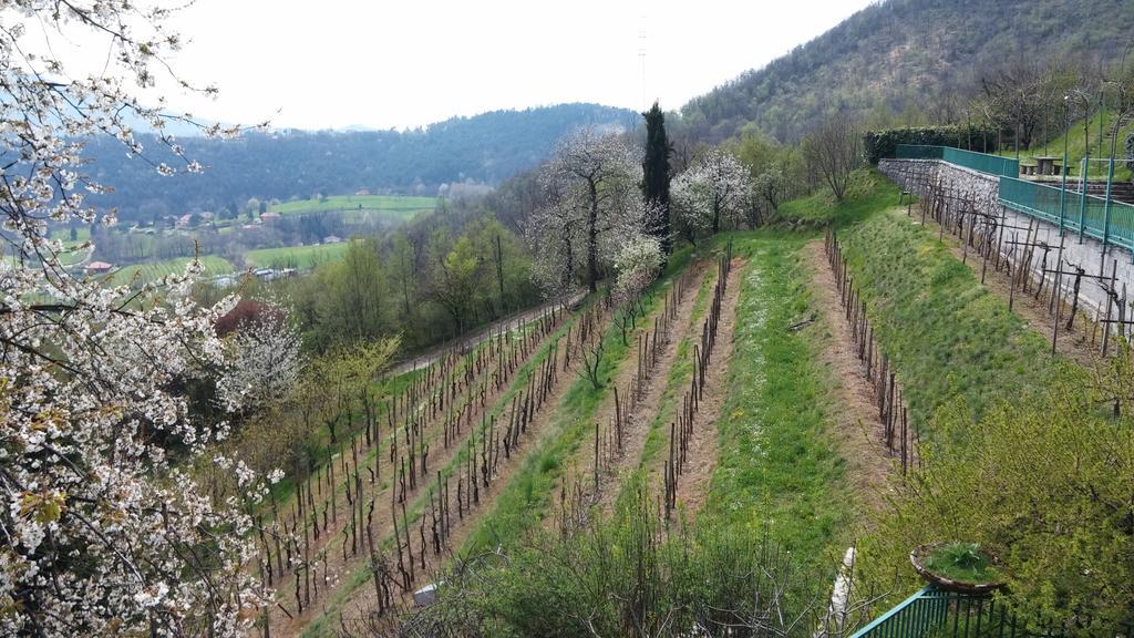 Agriturismo Il Mirabile Bed & Breakfast Trescore Balneario Exterior foto